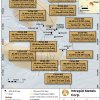 ringo final drill results july 2024